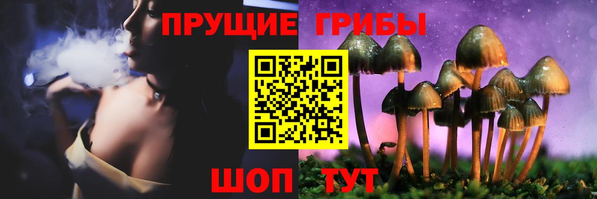 купить наркотик  Вход с VPN  Зеленокумск  Псилоцибиновые грибы Psilocybine cubensis 